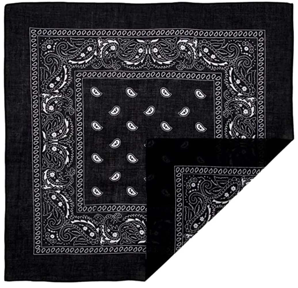 600 ct 100% Cotton Paisley Bandana - By Case