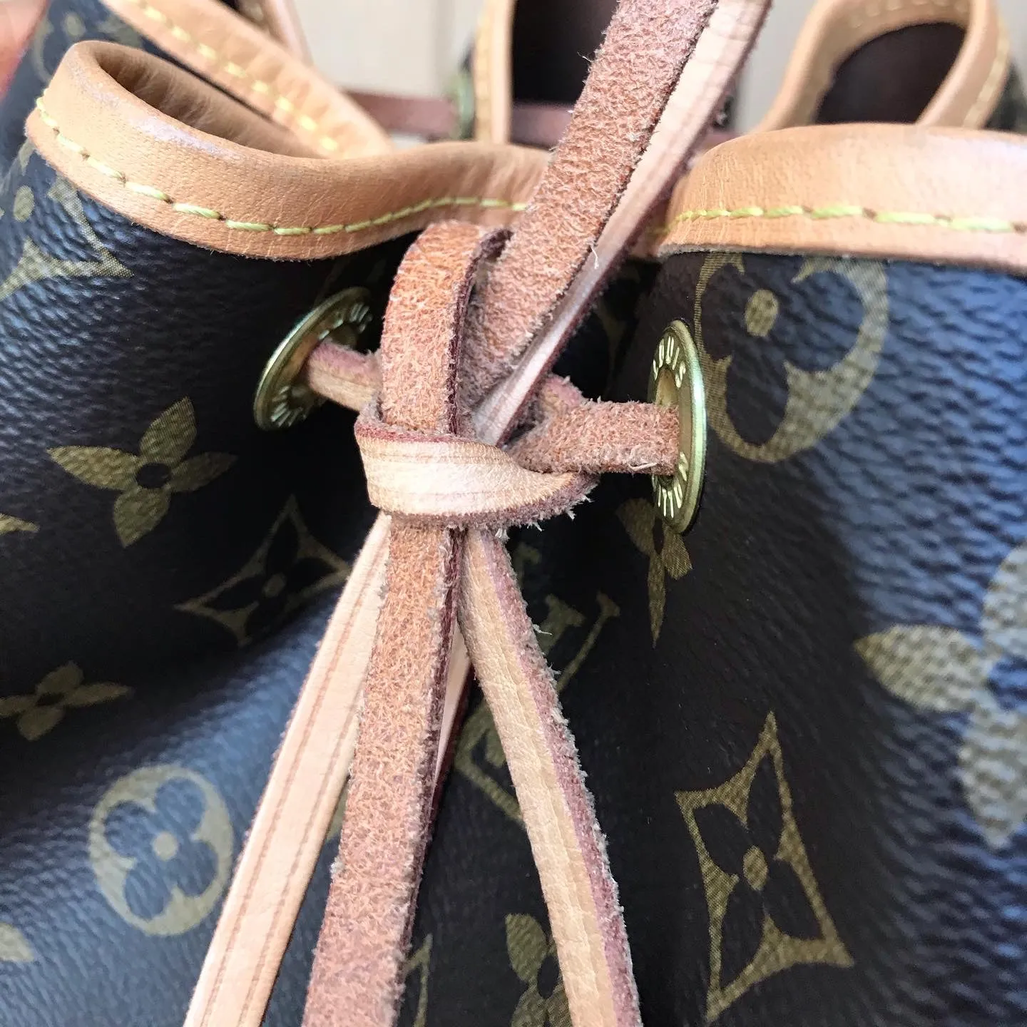 LOUIS VUITTON Monogram Canvas Petit Noe Bucket Bag