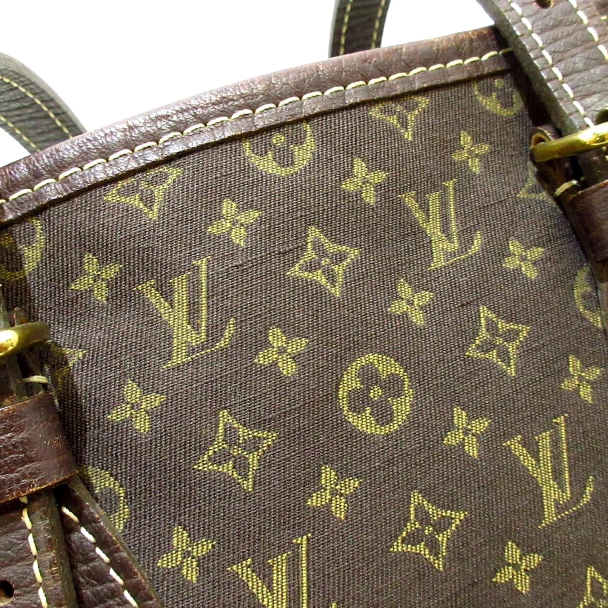 LOUIS VUITTON Monogram Mini Lin Bucket PM Bucket Bag